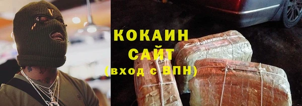 дживик Семилуки