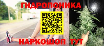 тгк Краснодар