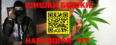 прущие грибы Краснознаменск
