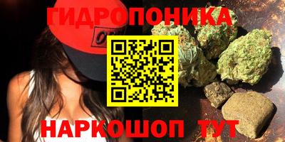 прущие грибы Краснознаменск