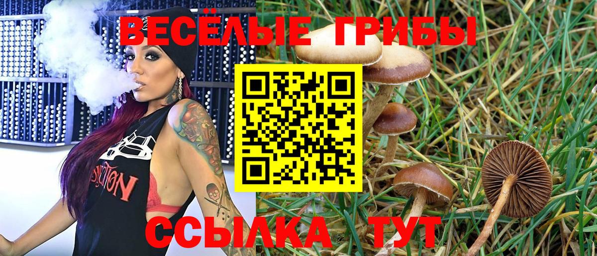 Коммунар  Галлюциногенные грибы мицелий  Вход с VPN  Псилоцибиновые грибы Psilocybine cubensis 